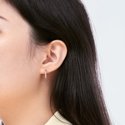 [Echo Fine ]Radiant Colorful Round Cut Earrings